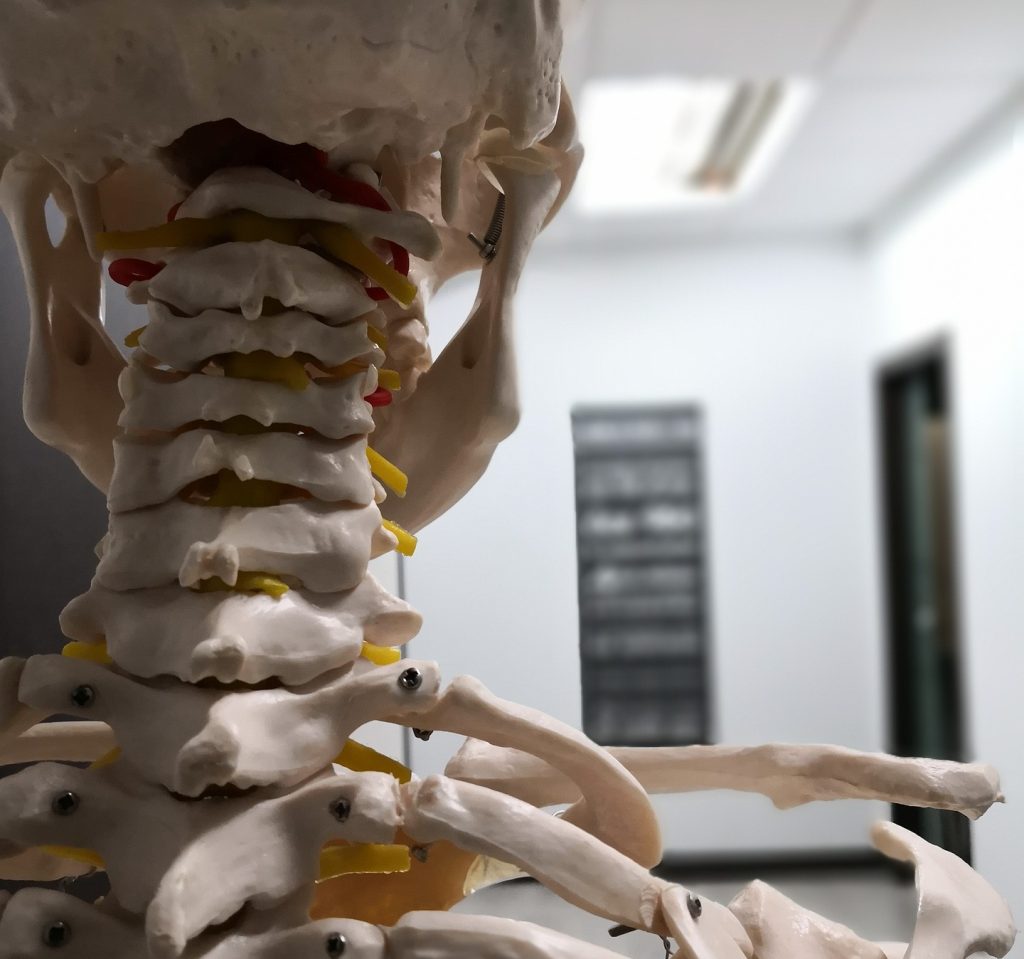 physiotherapy-g33accdabe_1920